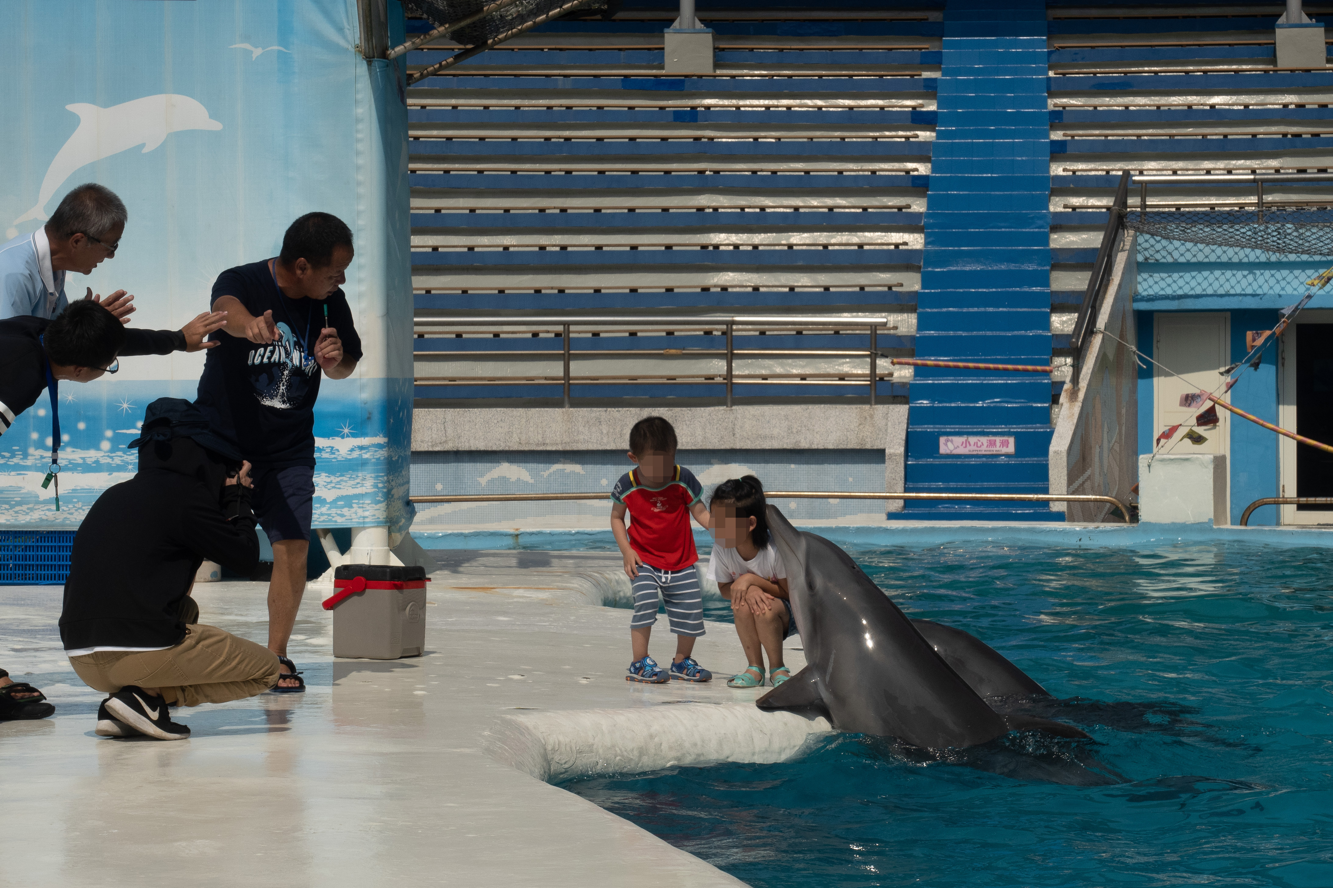 海陸保育動物皆不得表演，台灣動保揭新頁。（圖／中央社）