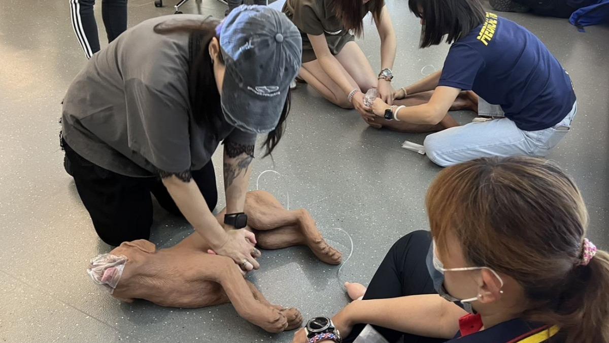 寵物美容師實習寵物CPR。（圖／新北動保處提供）