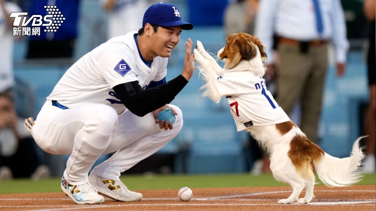 大谷翔平29日特別帶著愛犬Decoy一同開球。（圖／達志影像美聯社）