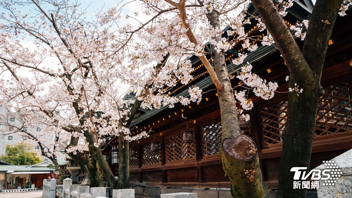 神社上演活春宮！日熟女張腿交纏61歲老外，參拜民眾嚇壞急報警。（示意圖／達志影像Shutterstock）