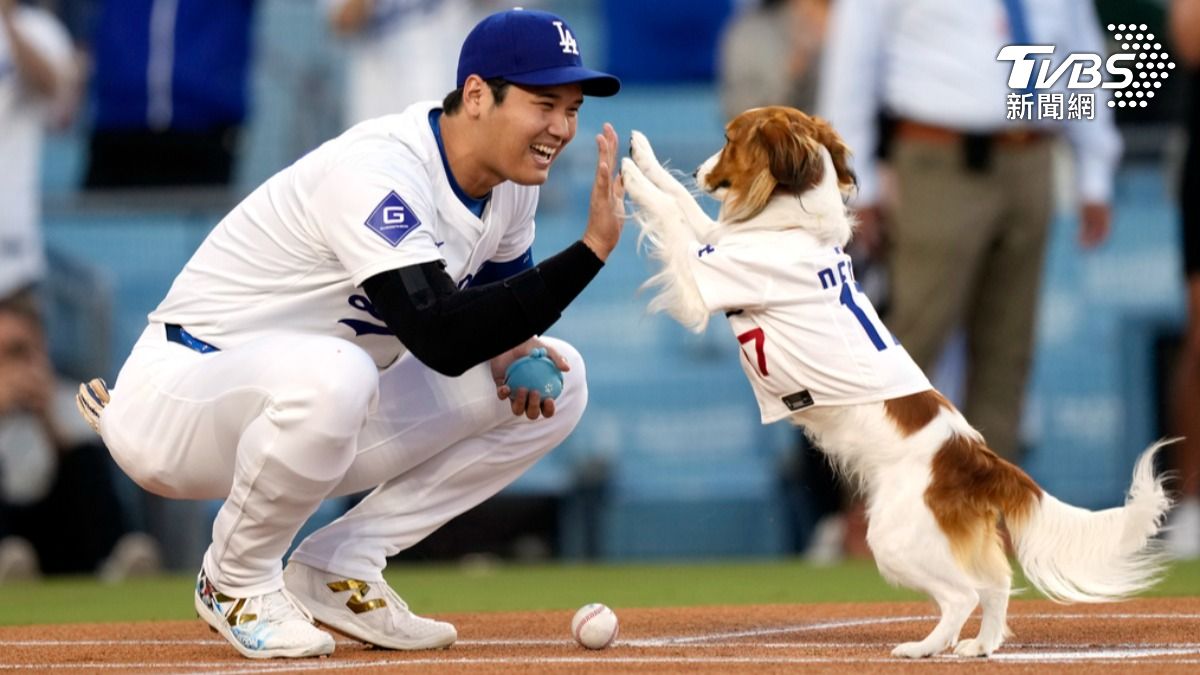 大谷與愛犬Decoy一同開球。（圖／達志影像美聯社）