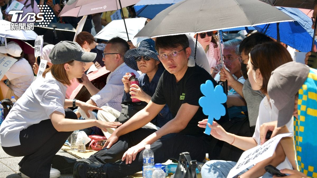 台北市議員苗博雅揭民眾黨立委黃國昌（著黑衣者）號召小草包圍法院的最終目的。（圖／胡瑞麒攝）