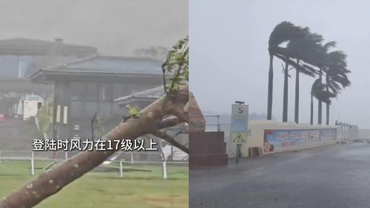 超強颱風「摩羯」登陸海南文昌，把樹都吹折了。（圖／翻攝自微博）