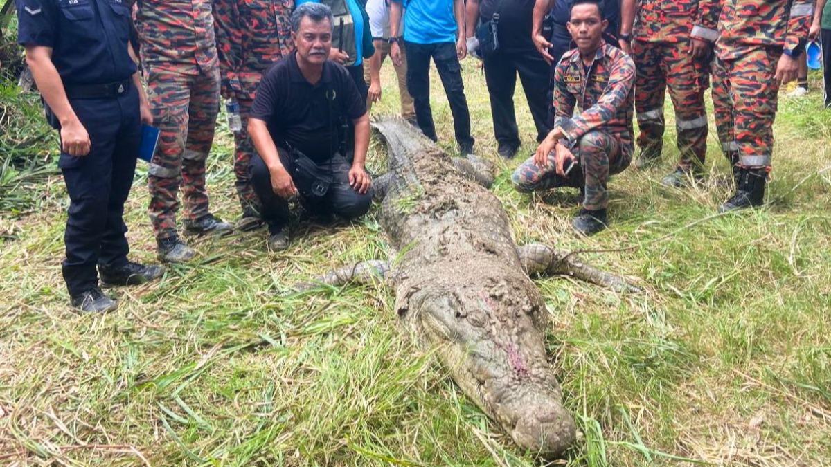 馬來西亞驚傳1名漁夫被巨大鱷魚跟蹤後慘遭殺害。（圖／翻攝自The Mirror）