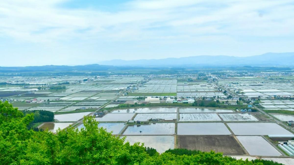 北海道中部小鎮東川町被日本民眾票選為全國最宜居地點。（圖／翻攝自visit_higashikawa IG）