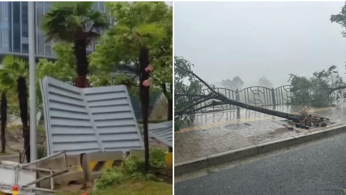 中秋前夕.颱風「貝碧佳」襲滬　海陸空交通停擺