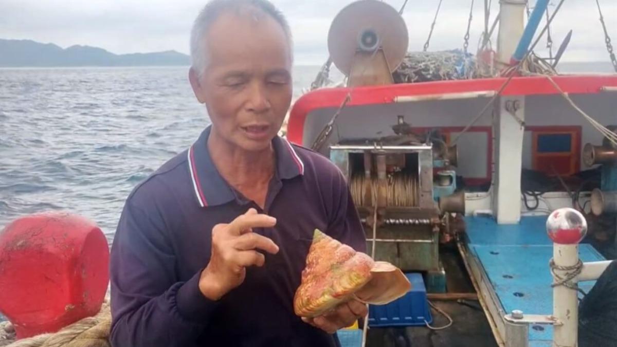 Yilan fisherman catches rare deep-sea shell, plans to sell (Courtesy of CNA via TVBS News) Yilan fisherman catches rare deep-sea shell, plans to sell