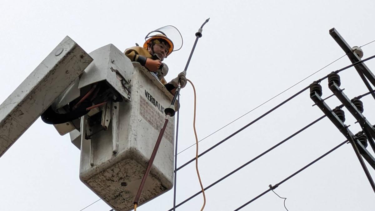 嚴防海線地區「鹽塵害」導致停電，台電台中區處加強礙子清洗工作。（圖／台電台中區處提供）