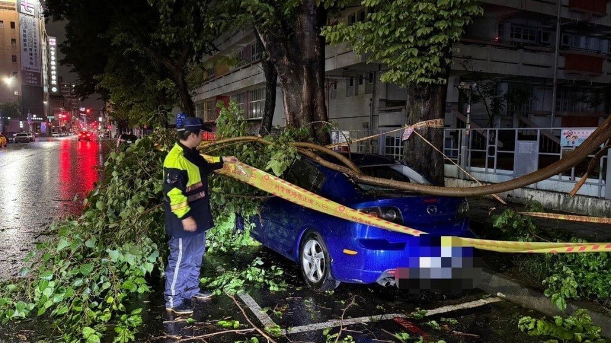 高雄新興區發生路樹倒塌，剛好砸中路邊停車格內自小客車，所幸無人受傷。（圖／高雄市新興警分局提供）