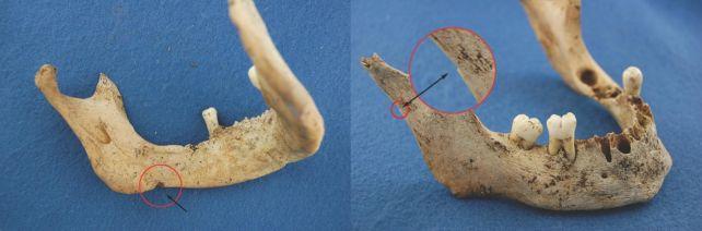 詹姆斯下顎骨上有明顯的切割痕跡。（圖／翻攝自Journal of Archaeological Science）