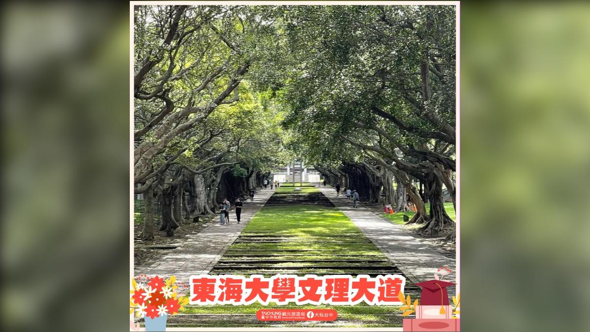 東海大學文理大道。