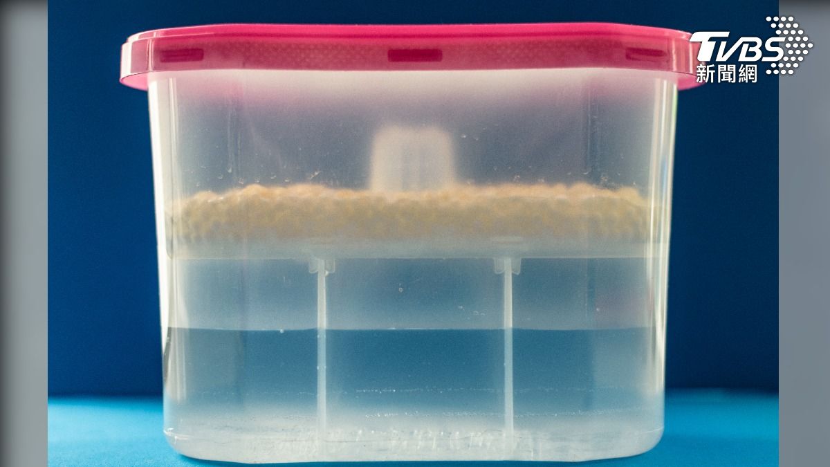 除濕盒積存的水，含有氯化鈣成分，相當危險。(圖／達志影像Shutterstock)