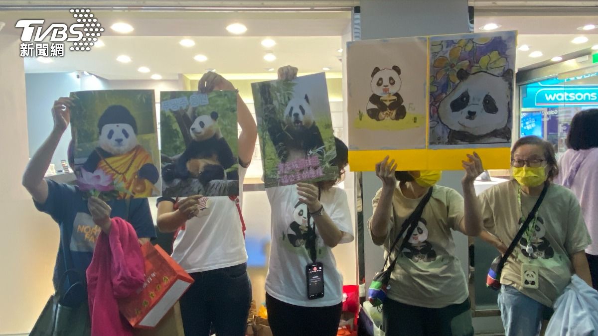 有粉絲帶著自製畫作來到現場支持福寶跟姜爺爺。（圖／林坤緯攝）