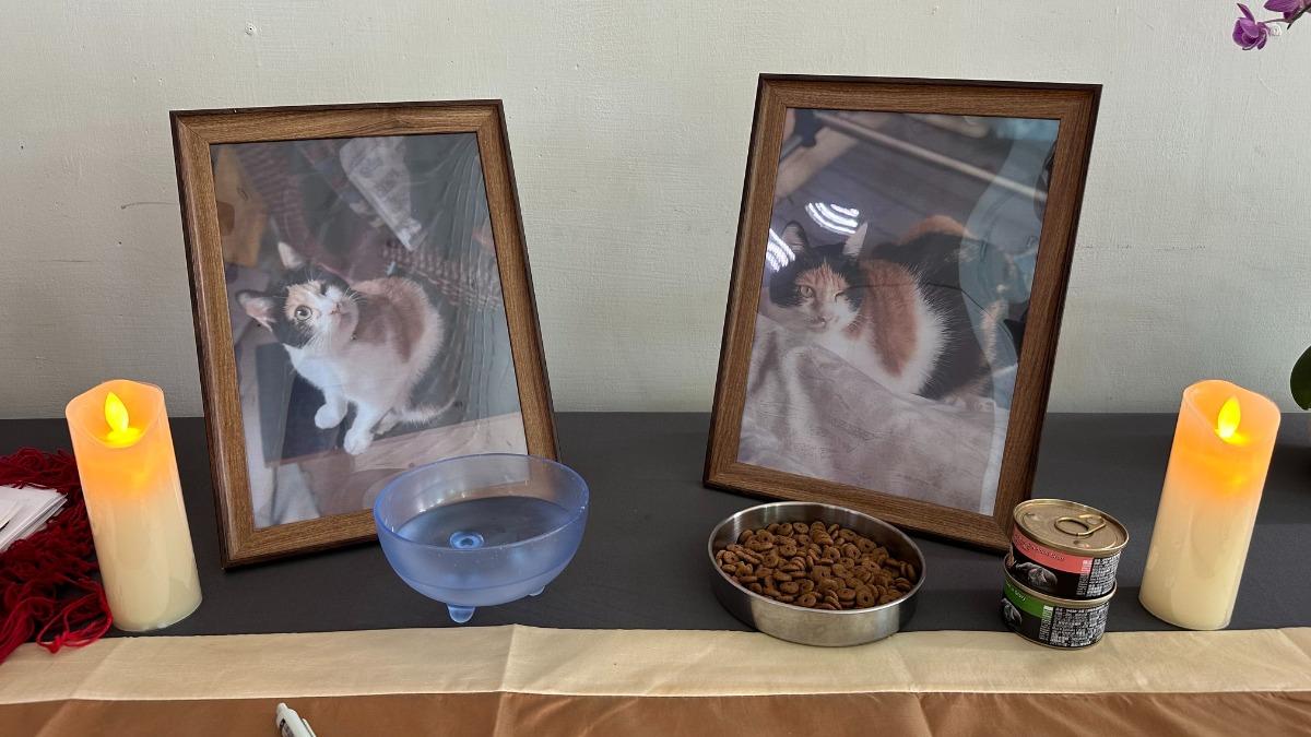 校方為三花貓「樂樂」設置祈福亭。（圖／翻攝自玄奘大學臉書）