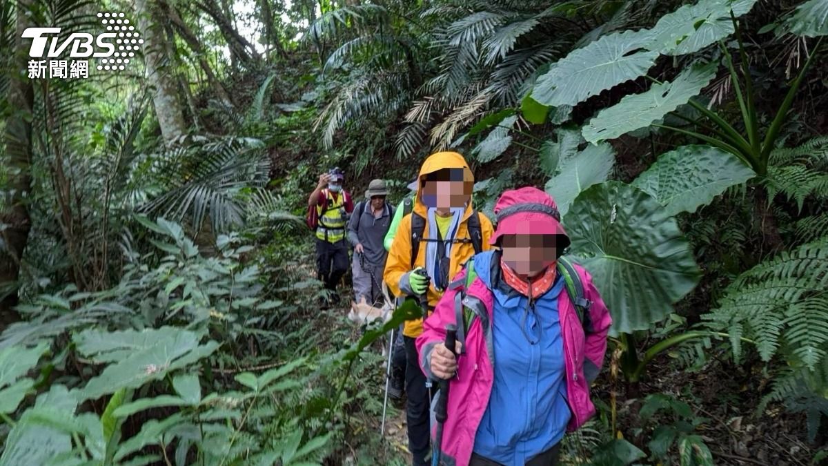 9人登山團糟恐怖虎頭蜂攻擊。（圖／TVBS）