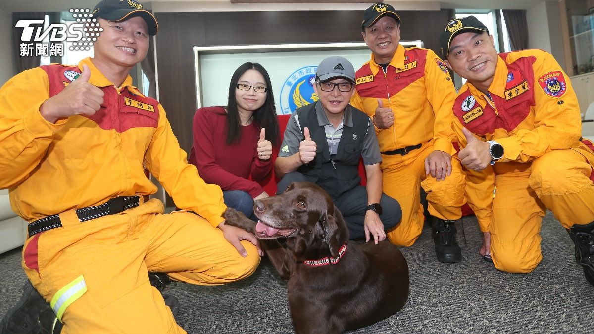 退役搜救犬Uny最終決定由呂先生獲得寄養權。（圖／TVBS）