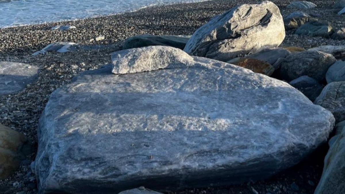 花蓮景點「一顆超好躺ㄉ俗頭」爆紅。（圖／翻攝自google map）