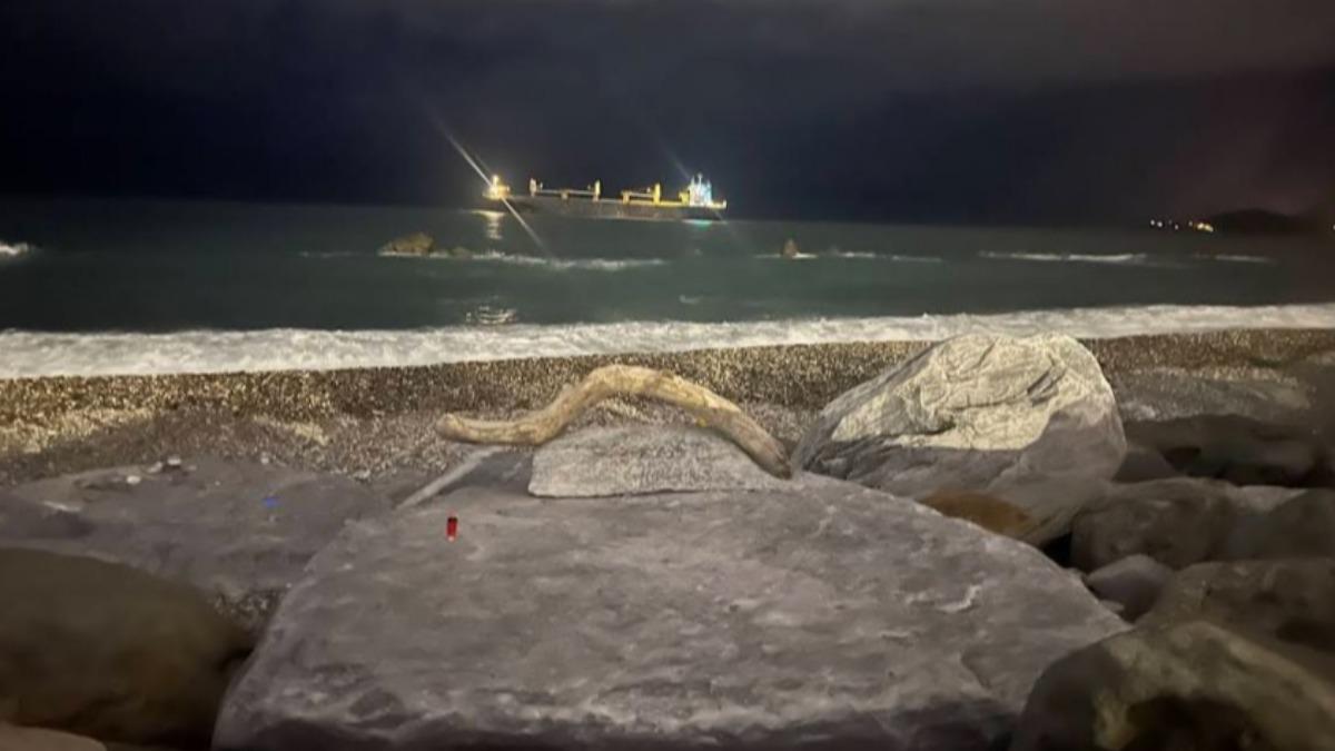 花蓮景點「一顆超好躺ㄉ俗頭」爆紅。（圖／翻攝自google map）