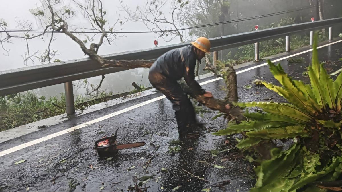  強風豪雨致宜蘭地區大樹傾倒阻礙交通，台電同仁徒步巡視搶修。（圖／台電提供）