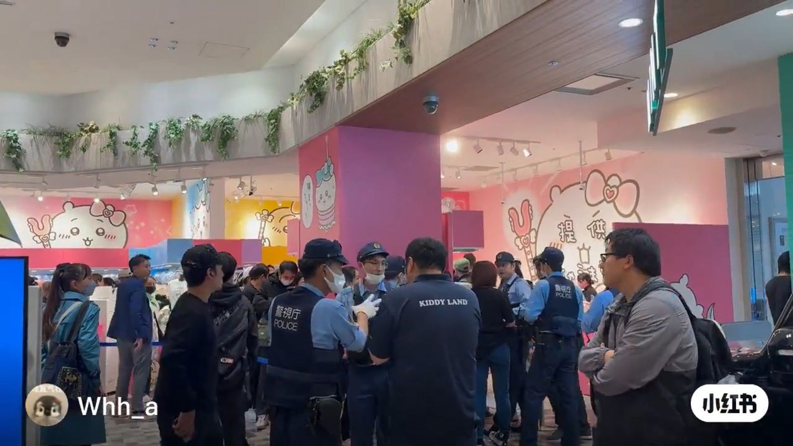 中國大媽瘋搶新宿「吉伊卡哇」好賤！塞滿包只結帳一隻，引日警出動。（翻自X平台）