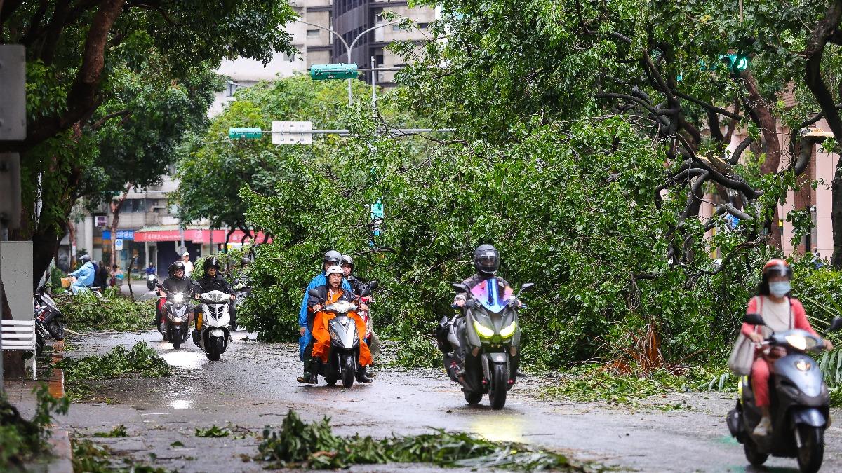 康芮颱風襲台，導致台北市約2800處樹倒。（圖／中央社）