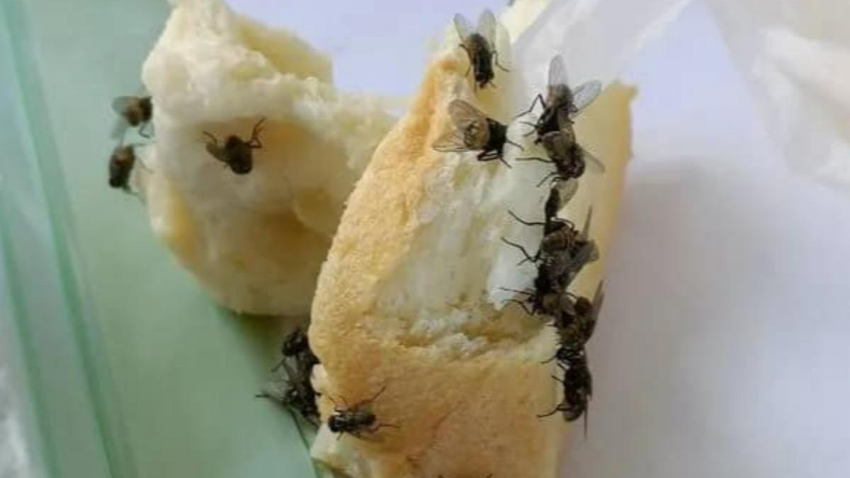 戶外婚宴見蒼蠅滿天飛。（圖／翻攝自爆料公社臉書）