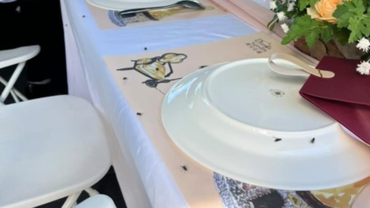 戶外婚宴見蒼蠅滿天飛。（圖／翻攝自爆料公社臉書）