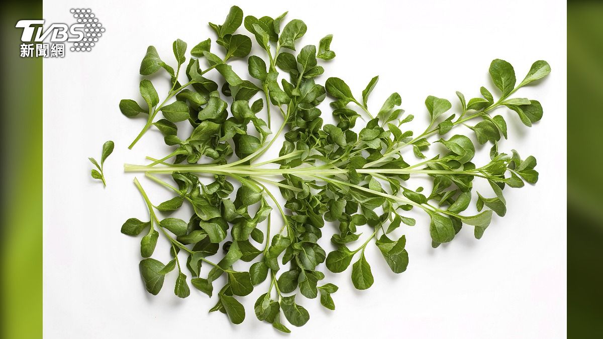 西洋菜（Watercress，別名豆瓣菜）獲選最營養蔬菜。（圖／shutterstock 達志影像）