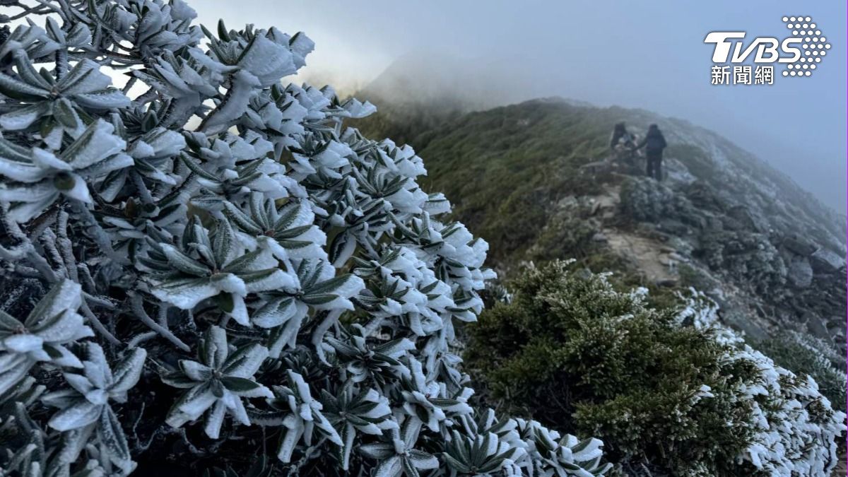 首波冷氣團來了！雪霸山區結冰霜銀白世界　絕美畫面曝