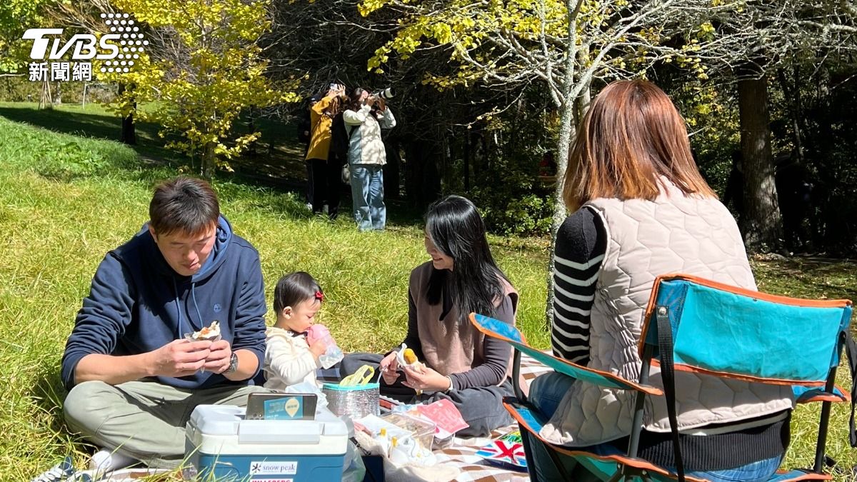 許多遊客趁機前往賞楓。（圖／TVBS）