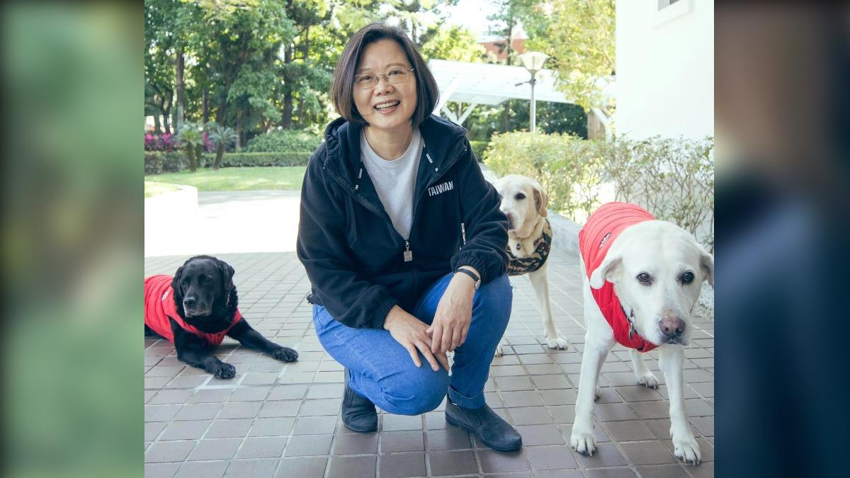 前總統蔡英文家中三隻退役導盲犬相繼離世。（圖／翻攝自蔡英文臉書）
