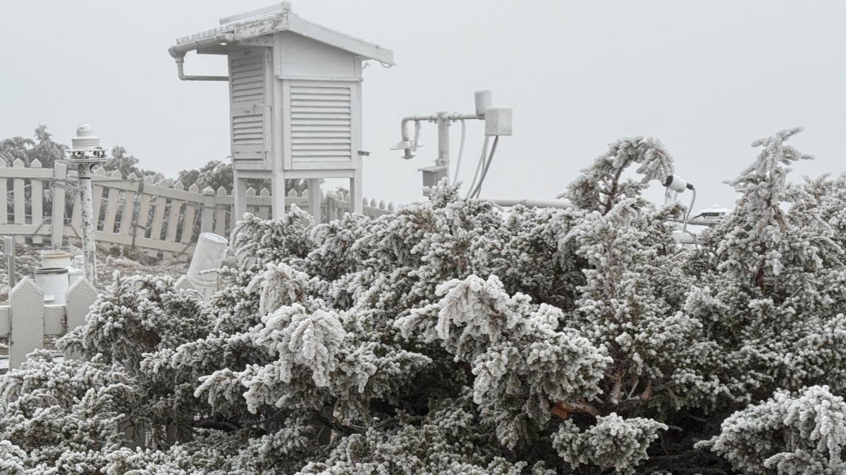 Snow forecasted for Yushan Friday (Courtesy of the CWA) Snow expected on Yushan as cold front approaches Taiwan