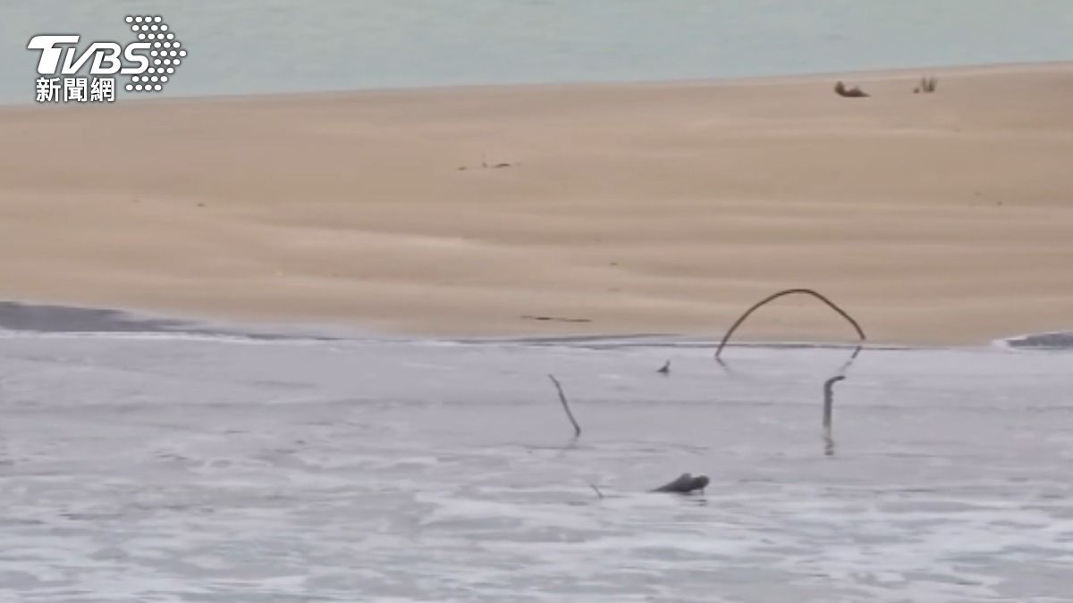 颱風天累積泥沙遇東北風吹進航道，導致淤沙。（圖／TVBS）