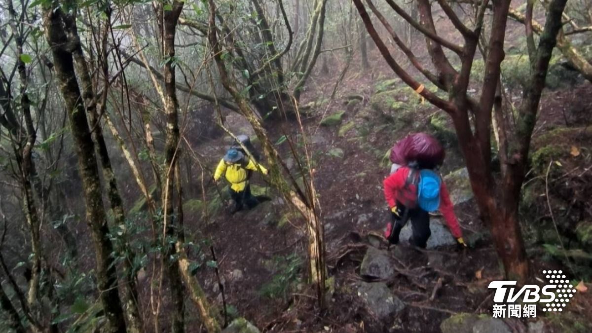 台東、高雄兩地救援人員搜尋。(圖/TVBS)