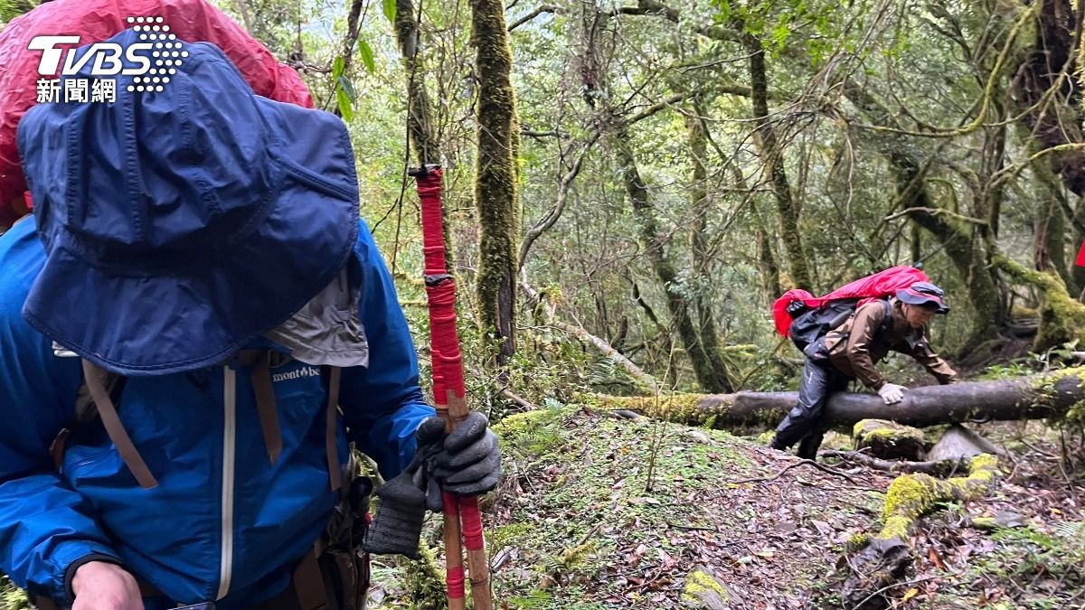救難人員上山找到女子並成功救援。(圖/TVBS)