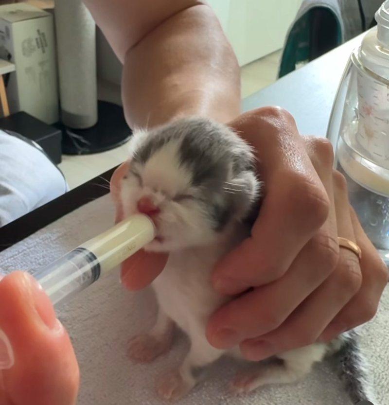 張書豪親曝餵奶照。（圖／翻攝自IG）