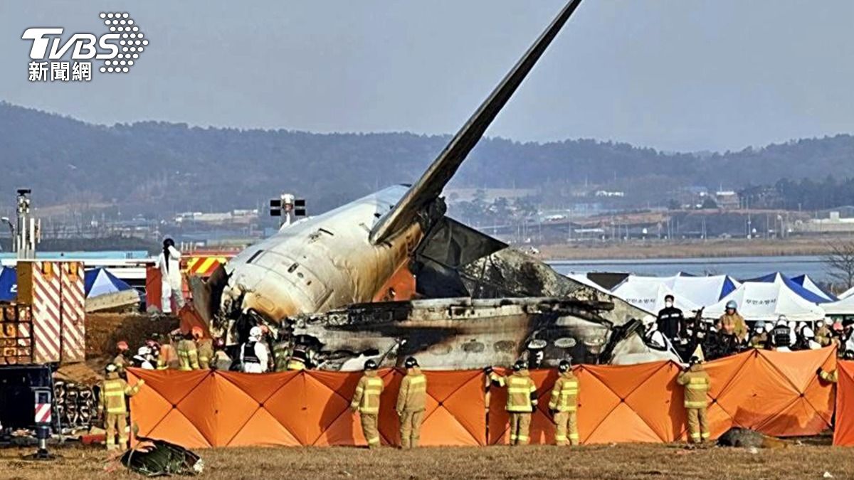 [閒聊] 濟州航空空難初步判斷-鳥擊