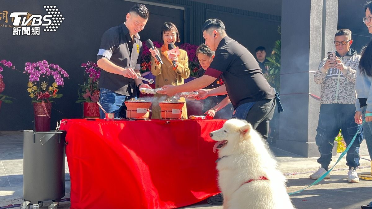 薩摩耶開心等肉肉。（圖／陳祁攝）