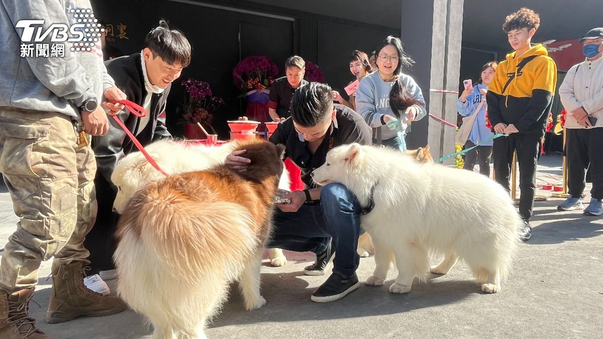 董事長吳念忠餵食狗狗。（圖／陳祁攝）