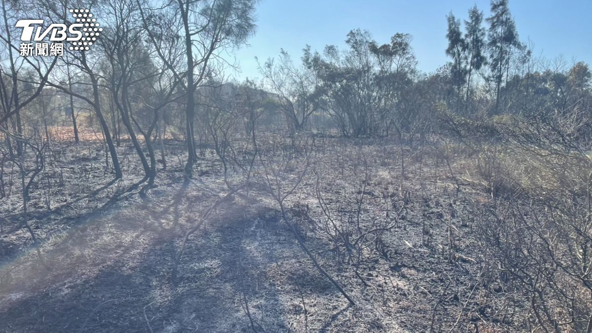 燃燒面積高達2500平方公尺。（圖／TVBS）
