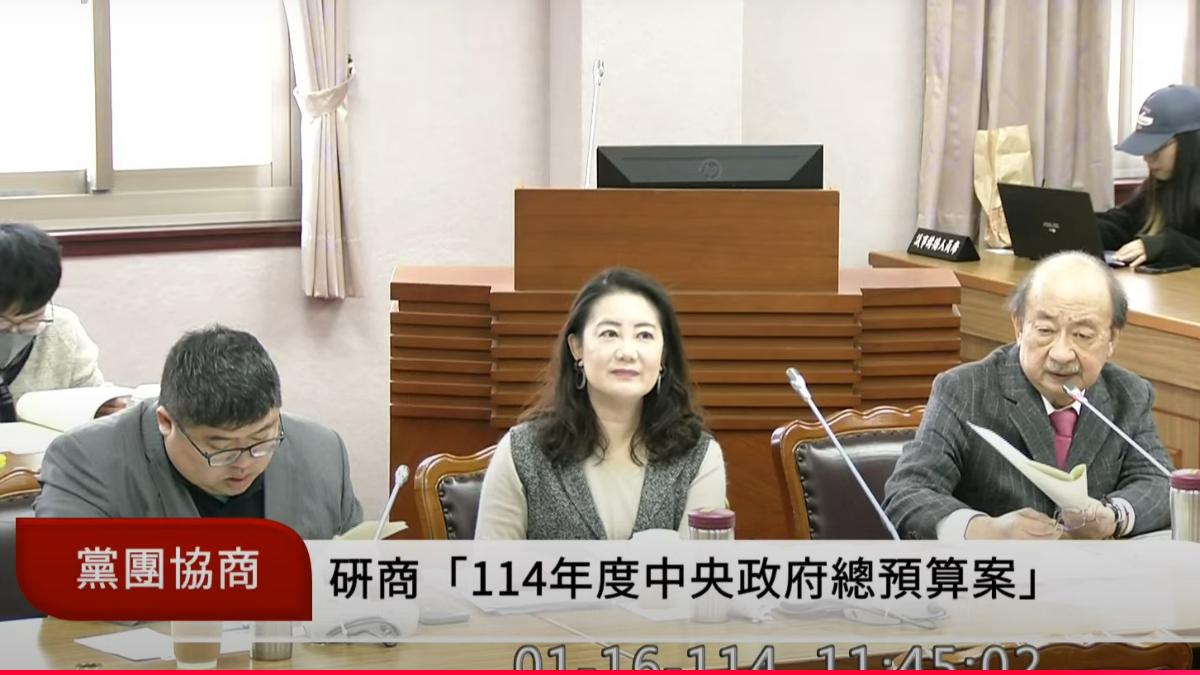 立院今日繼續協商總預算，柯建銘冗長發言罵不停。（圖／翻攝自國會頻道）
