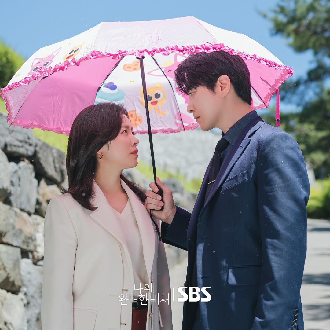 我的完美秘書》線上看更新時間！解析劇情5亮點與演員陣容│TVBS新聞網