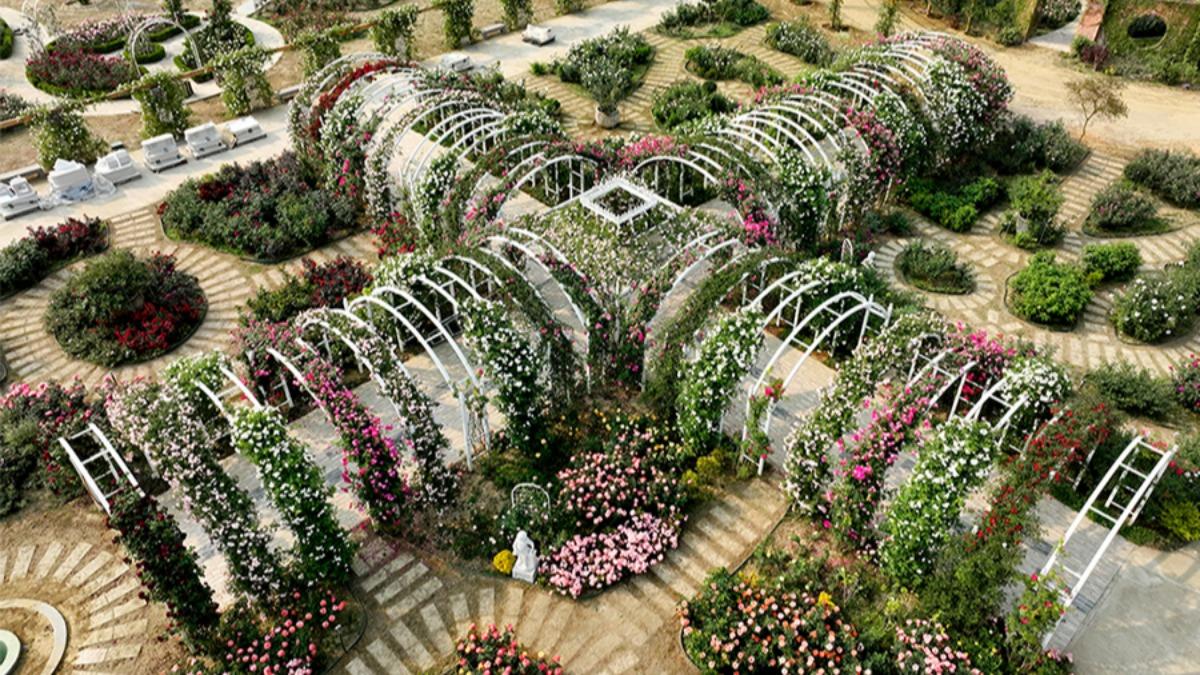 台南「雅聞湖濱療癒森林」擁有全台最大玫瑰花園。（圖／翻攝自雅聞倍優官網）