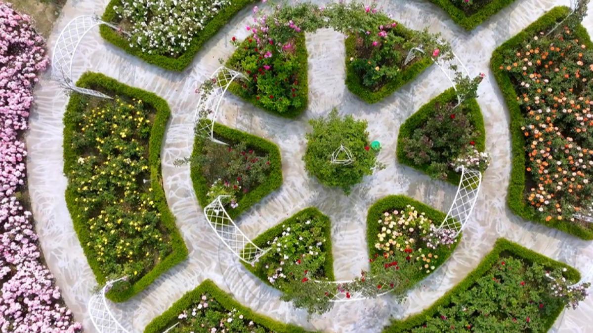 台南「雅聞湖濱療癒森林」擁有全台最大玫瑰花園。（圖／翻攝自雅聞倍優官網）