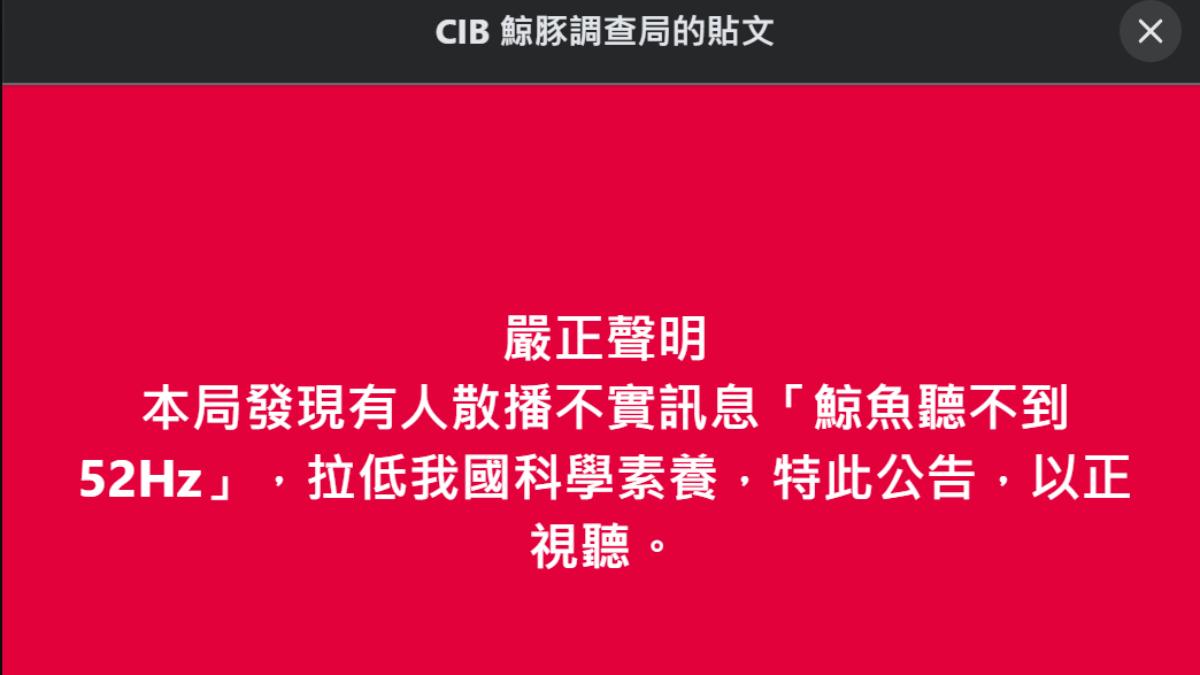 52赫茲鯨魚」不孤獨？台大獸醫教授提這點質疑批：拉低素養│TVBS新聞網
