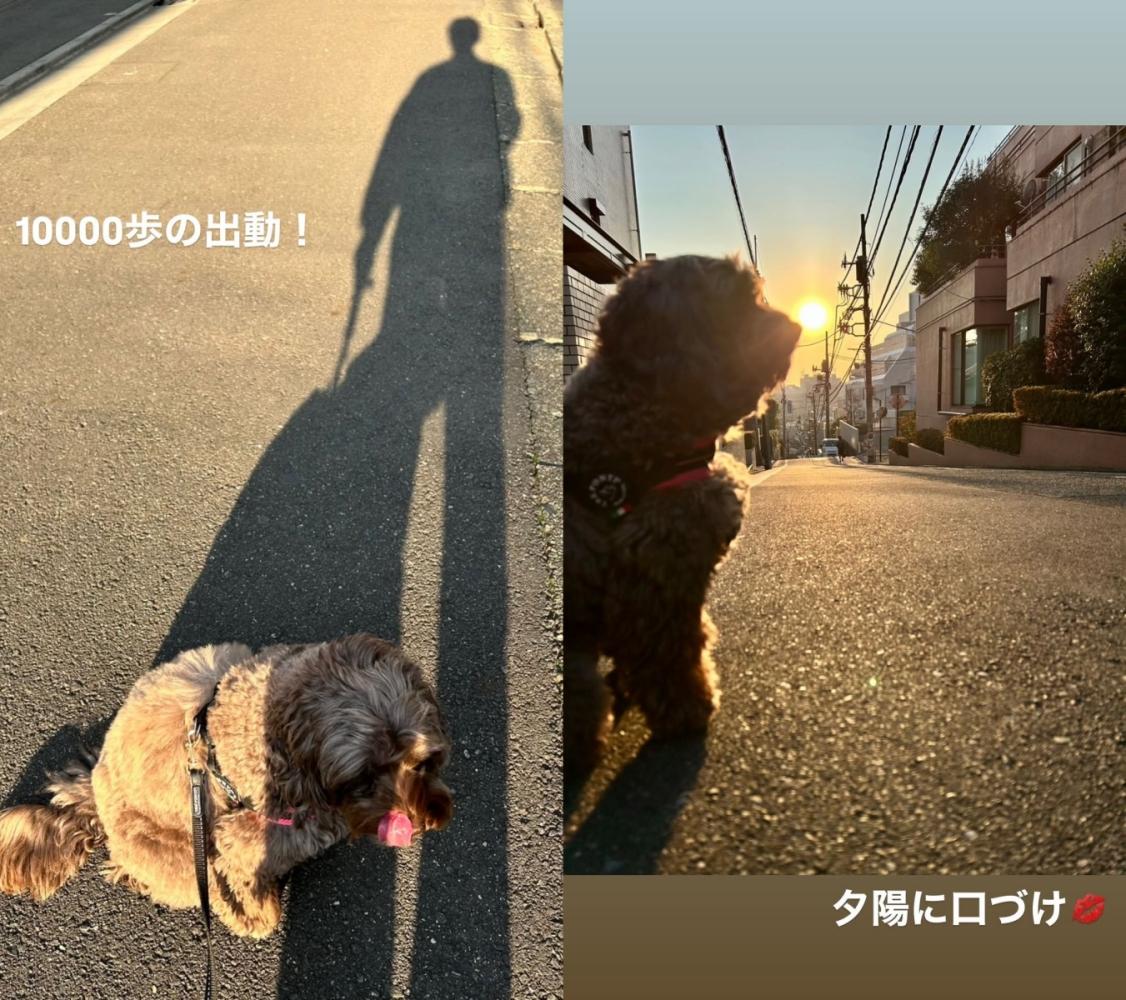 木村拓哉照常散步遛狗。（圖／翻攝自木村拓哉IG）