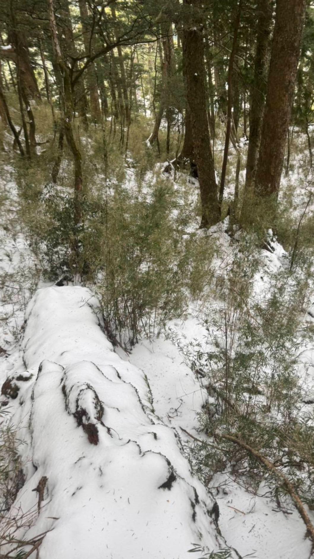 山上積雪，救援增難度。（圖／截自劉崑耀臉書）