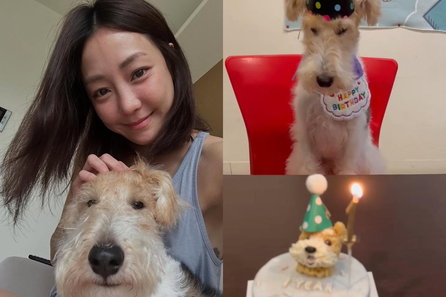 謝欣穎替愛犬慶生。（圖／翻攝自謝欣穎IG）