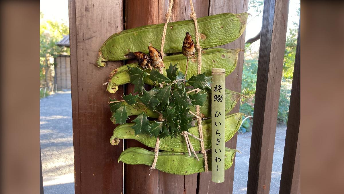 民眾會將烤過的沙丁魚頭插在柊樹的樹枝上製成「柊鰯」以此避邪。（圖／翻攝自X）