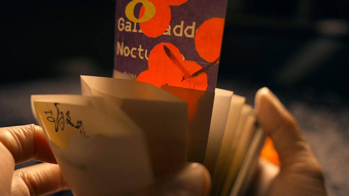 「一虎一虎」首張專輯《病子病病病子》出自設計師李珮慈之手。（圖／翻攝自風潮音樂臉書）